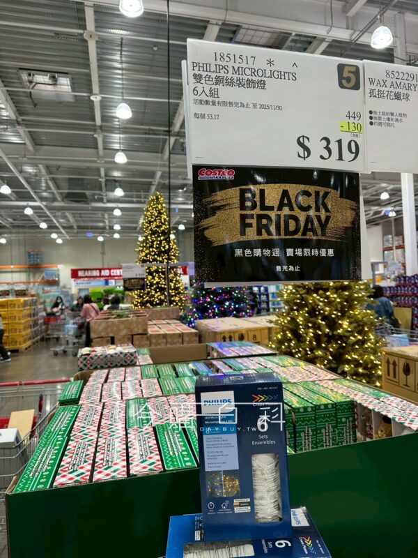 PHILIPS 雙色銅絲裝飾燈6入組 #1851517