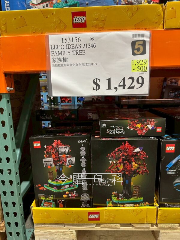 LEGO IDEAS 21346 家庭樹 #153156